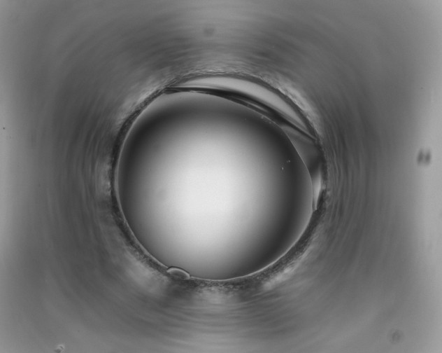X0000092260489200709141212