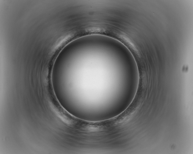X0000092260490200709141212
