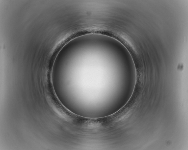 X0000092260491200709141212