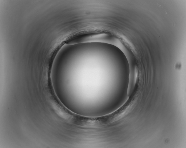 X0000092260493200709141212