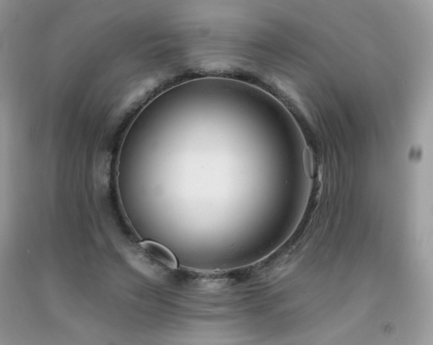 X0000092260495200709141212