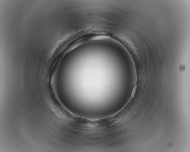 X0000092260496200709141212