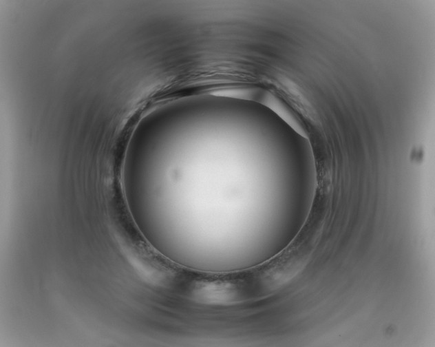 X0000092260500200709141212