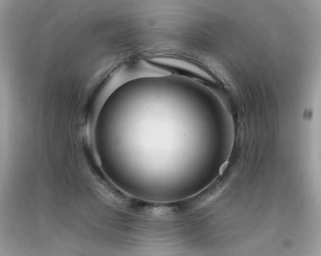 X0000092260501200709141212