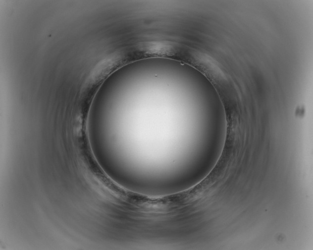 X0000092260502200709141212