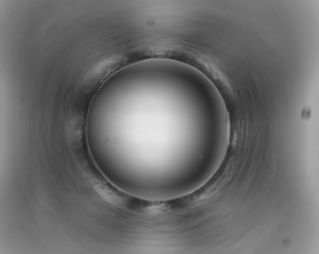 X0000092260505200709141212