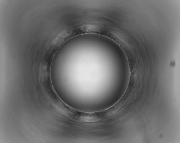 X0000092260506200709141212