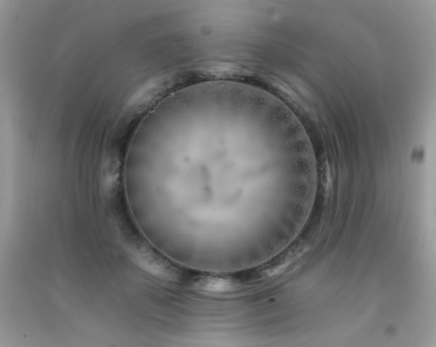 X0000092260507200709141212
