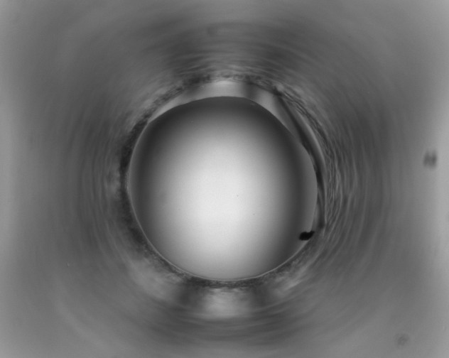 X0000092260508200709141212