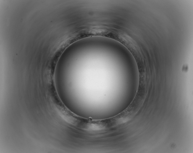 X0000092260510200709141212