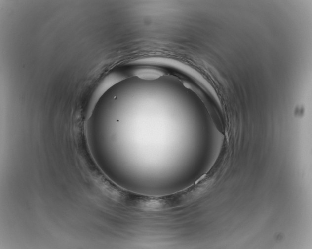 X0000092260513200709141212