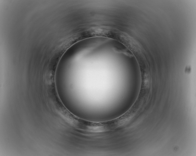 X0000092260514200709141212