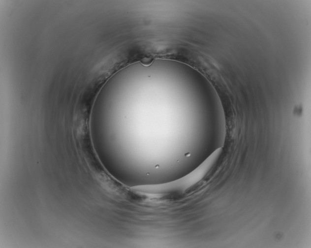 X0000092260515200709141212