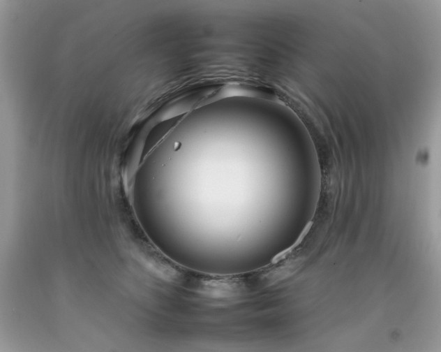 X0000092260516200709141212