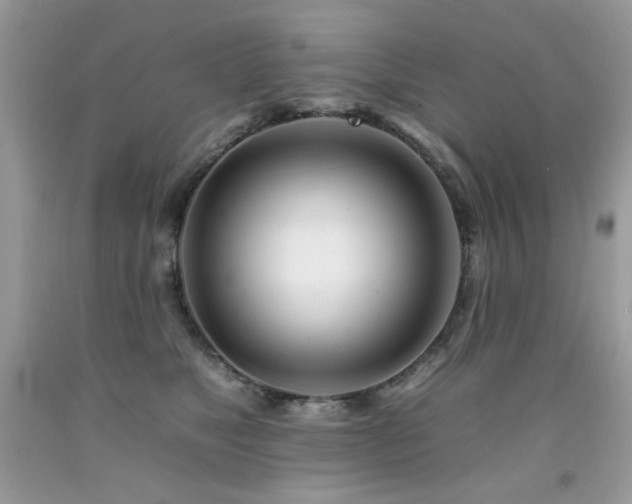 X0000092260517200709141212