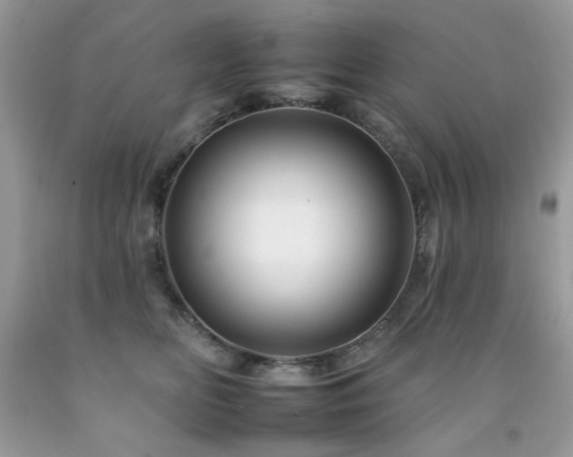 X0000092260518200709141212