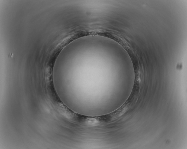 X0000092260519200709141212