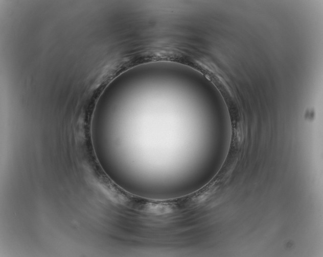 X0000092260520200709141212