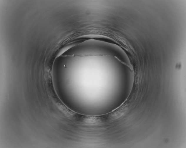 X0000092260521200709141211