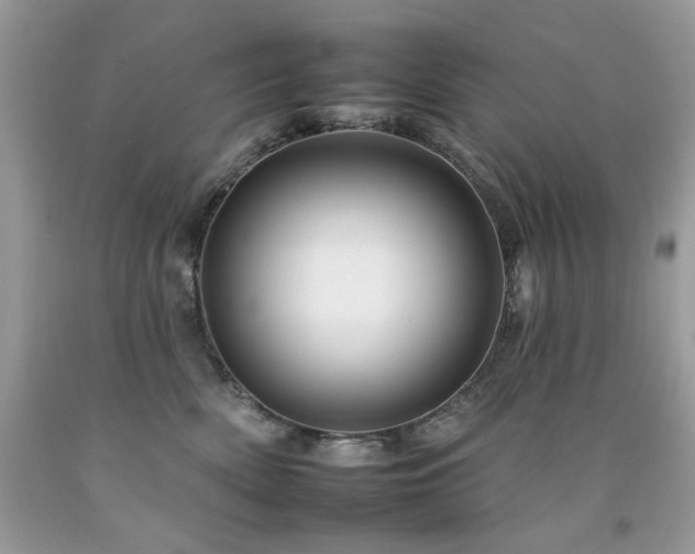 X0000092260522200709141211
