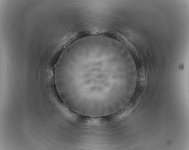 X0000092260523200709141211