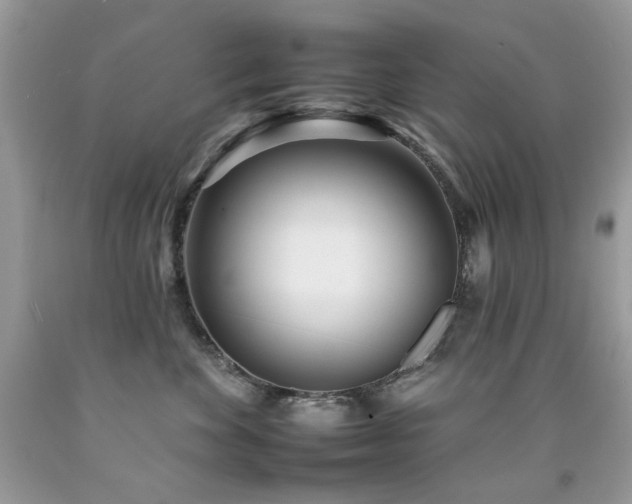 X0000092260524200709141211