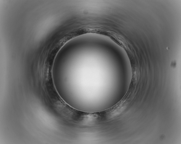 X0000092260525200709141211