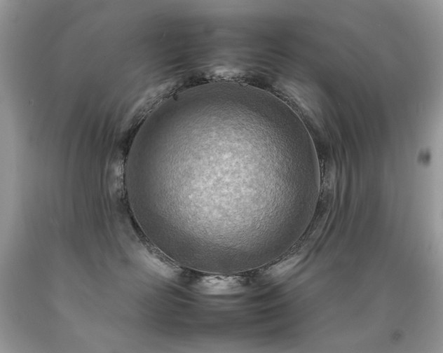 X0000092260526200709141211