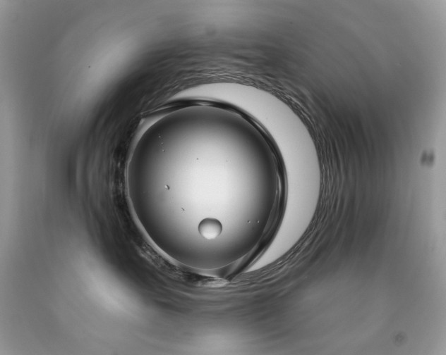 X0000092260527200709141211