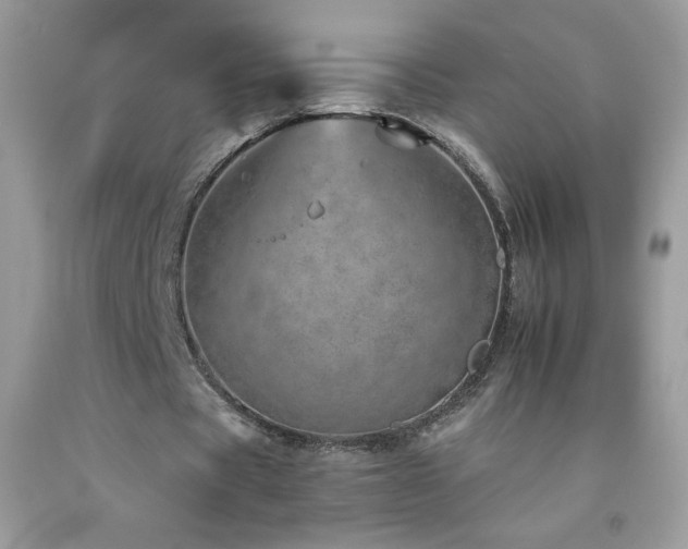 X0000092260529200709141211