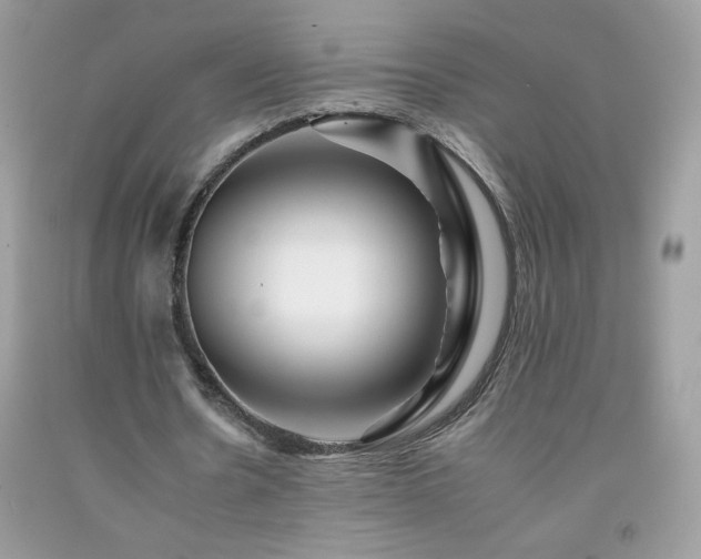 X0000092260530200709141211
