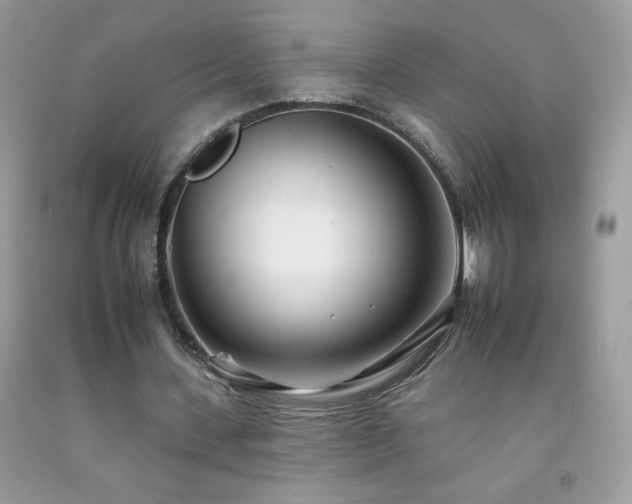 X0000092260531200709141211