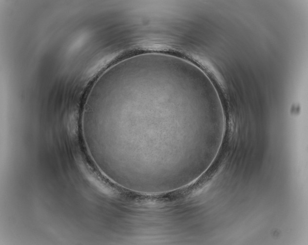 X0000092260533200709141211