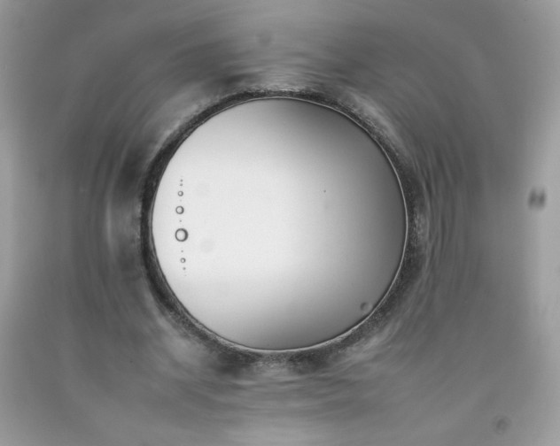 X0000092260534200709141211