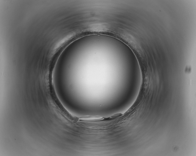 X0000092260535200709141211