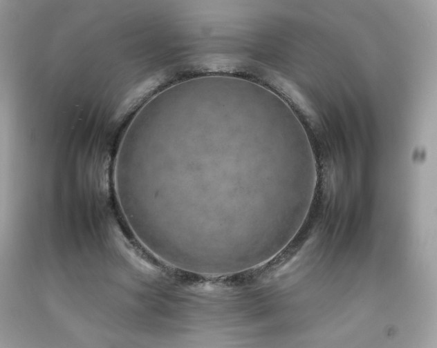 X0000092260537200709141211