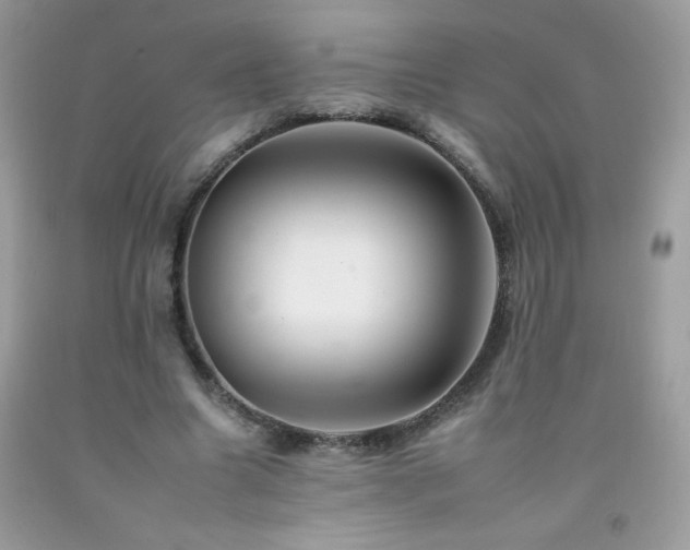 X0000092260538200709141211