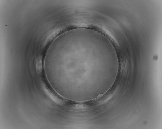 X0000092260541200709141211