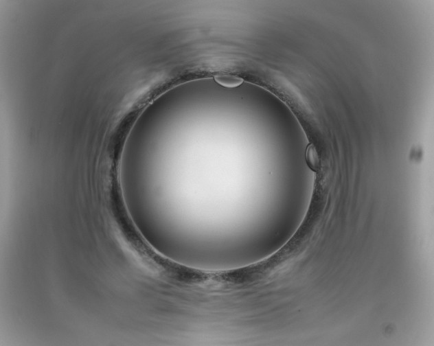 X0000092260542200709141211