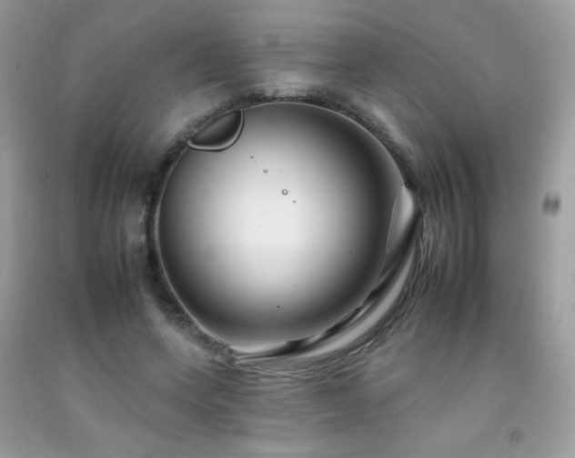 X0000092260543200709141211