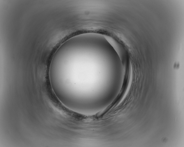 X0000092260544200709141211