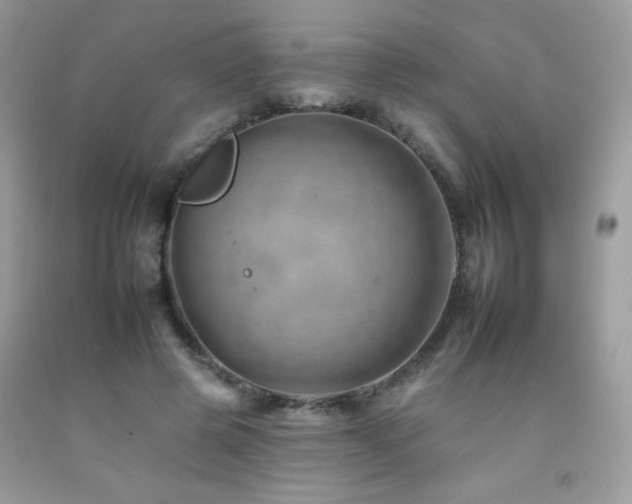 X0000092260545200709141211