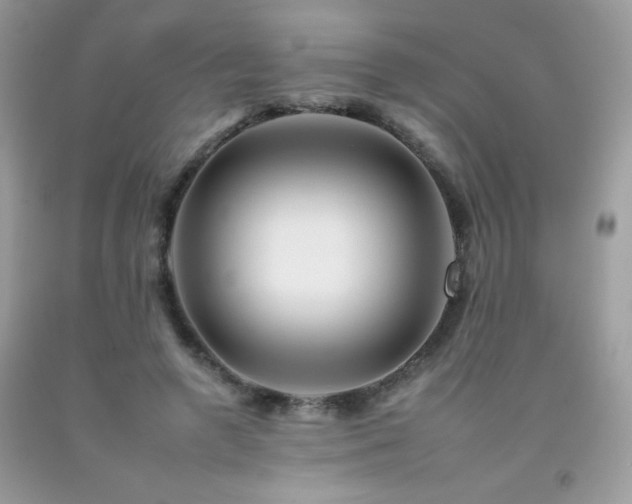 X0000092260546200709141211