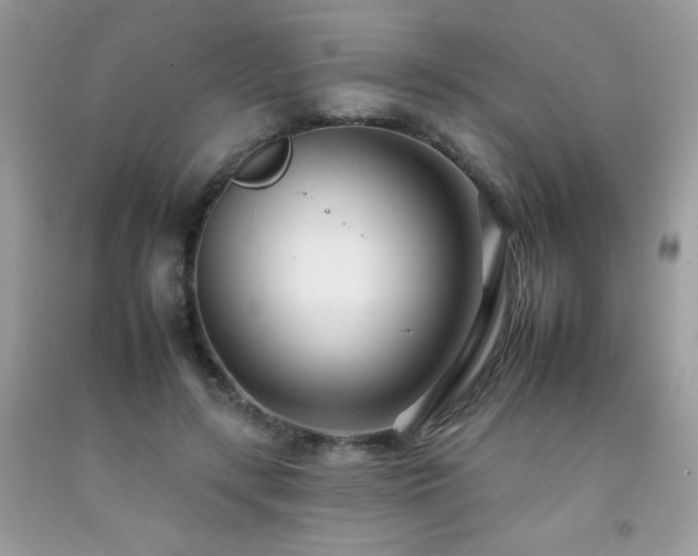 X0000092260547200709141211