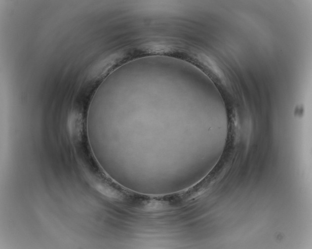 X0000092260549200709141211