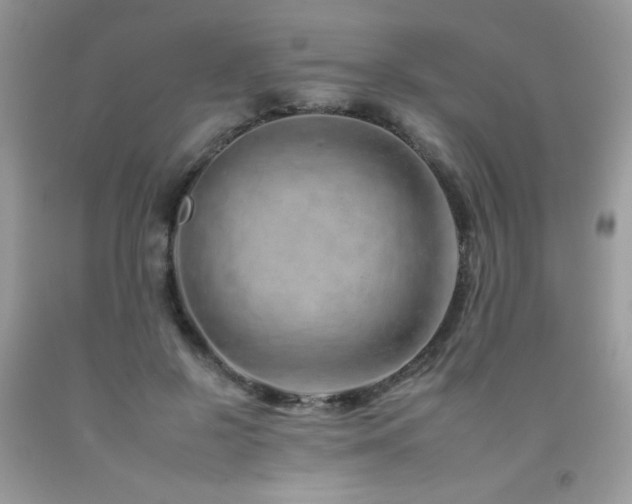 X0000092260550200709141211