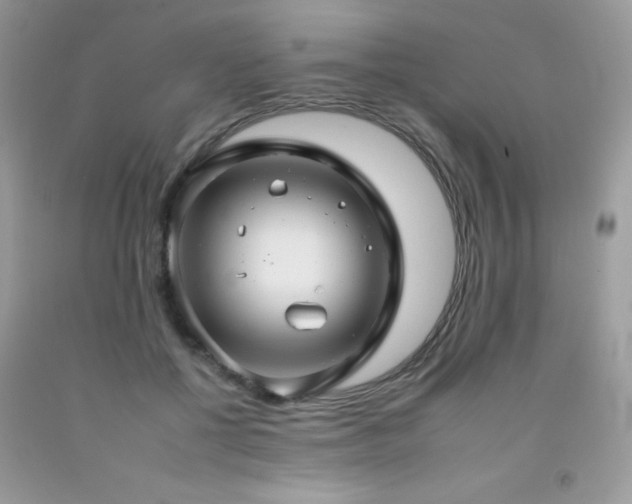 X0000092260552200709141211