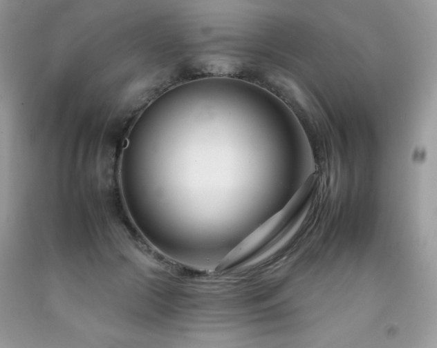 X0000092260553200709141211