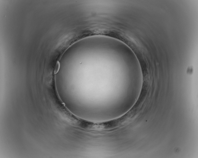 X0000092260554200709141211