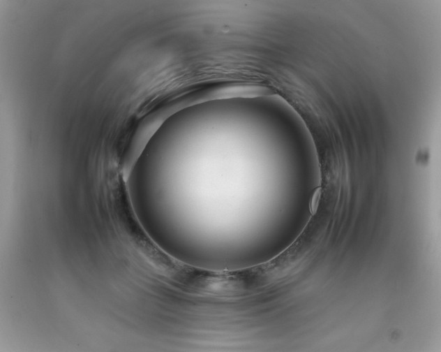X0000092260555200709141211